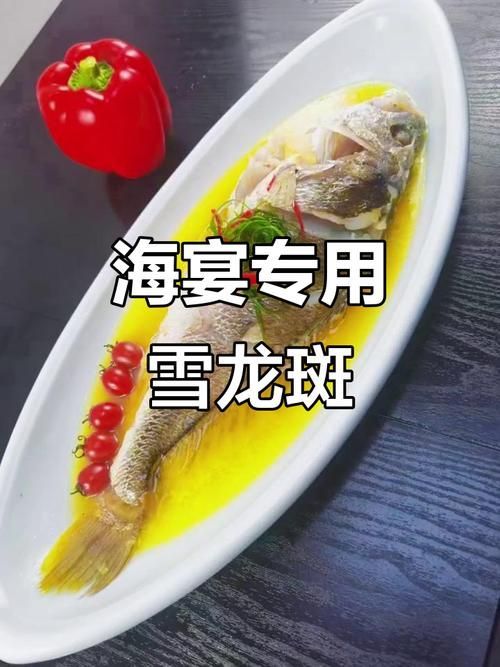雪龍魚的主要銷售渠道有哪些？，雪龍魚的主要銷售渠道 雪龍魚的主要銷售渠道有哪些？，雪龍魚的主要銷售渠道 龍魚百科 第6張