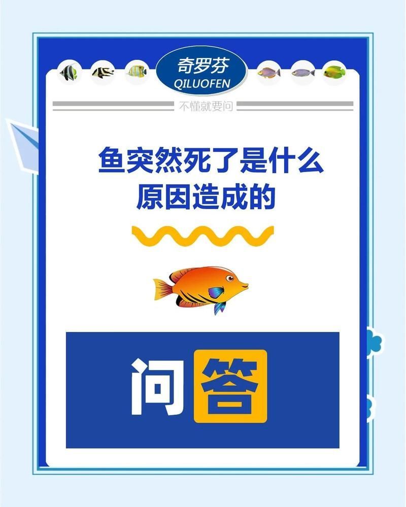 龍魚突然死了，應該如何處理，龍魚突然死了應該如何處理 龍魚突然死了，應該如何處理，龍魚突然死了應該如何處理 龍魚百科 第2張