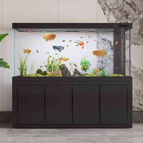 龍魚飼養設備價格范圍是多少？，龍魚飼養設備價格范圍