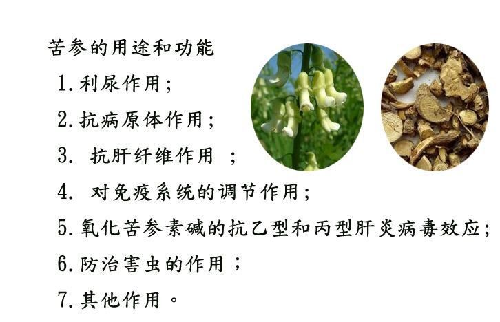 苦參堿和印楝素如何配制，苦參堿與印楝素的配制方法 苦參堿和印楝素如何配制，苦參堿與印楝素的配制方法 龍魚百科 第6張