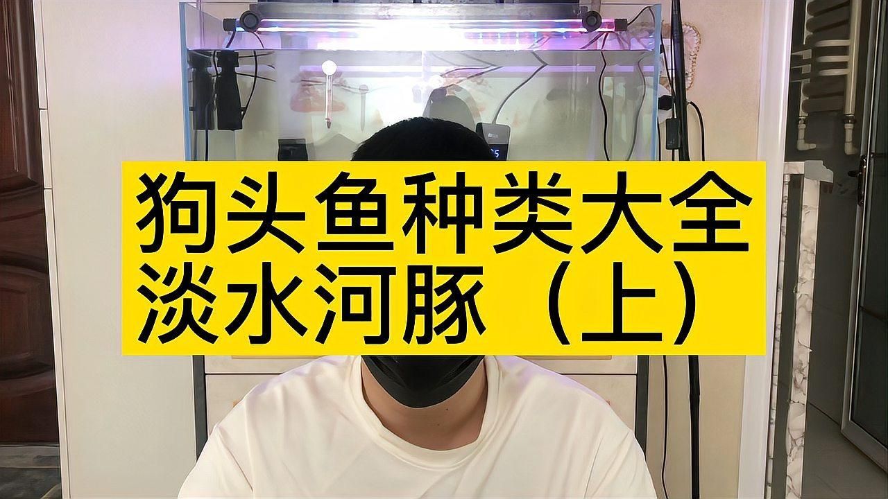 如何區分不同品種的狗頭魚？，區分不同品種的狗頭魚，如何區分不同品種的狗頭魚