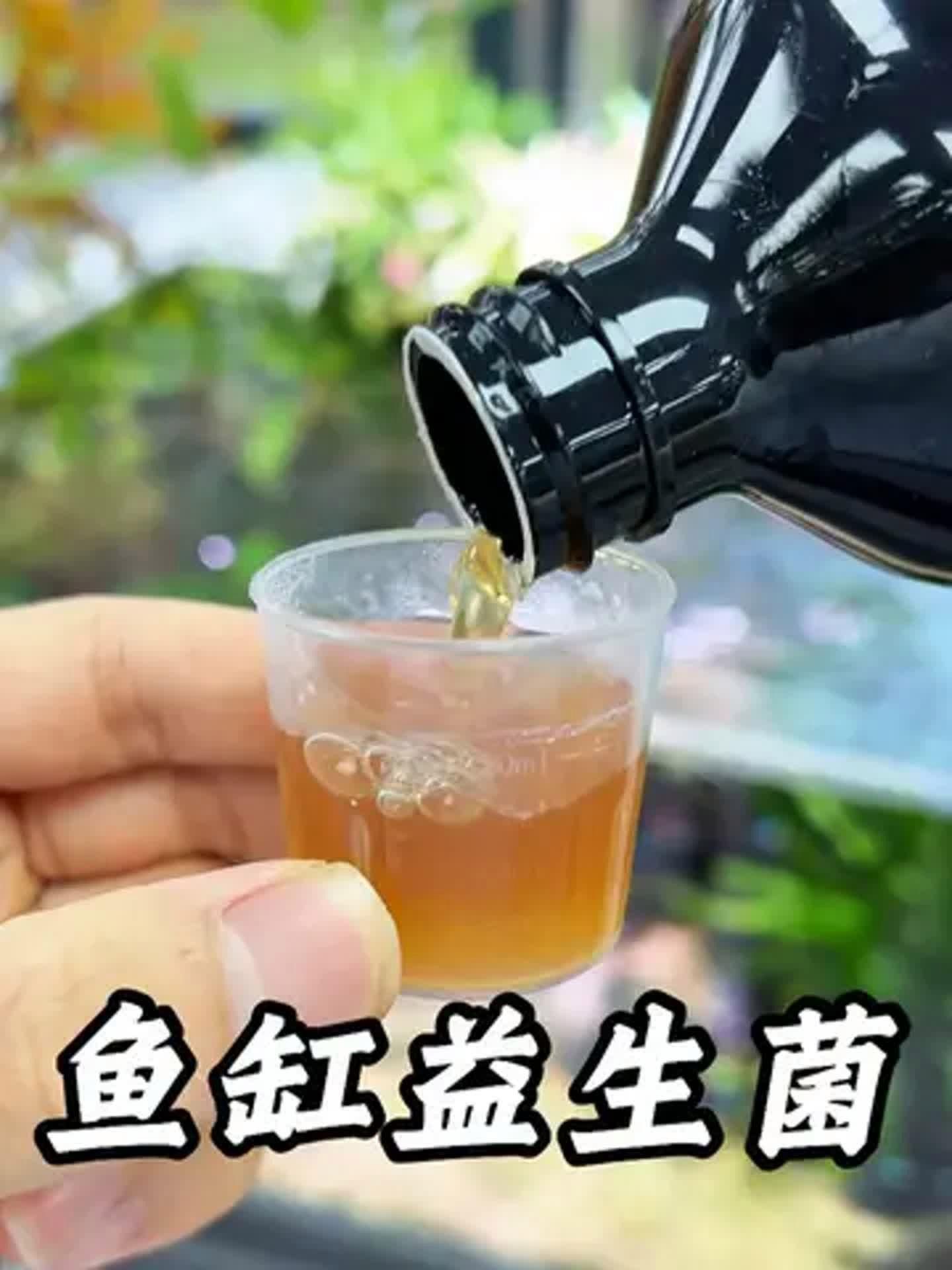 有哪些品牌的魚缸益生菌推薦？，選擇魚缸益生菌產品 有哪些品牌的魚缸益生菌推薦？，選擇魚缸益生菌產品 龍魚百科 第5張