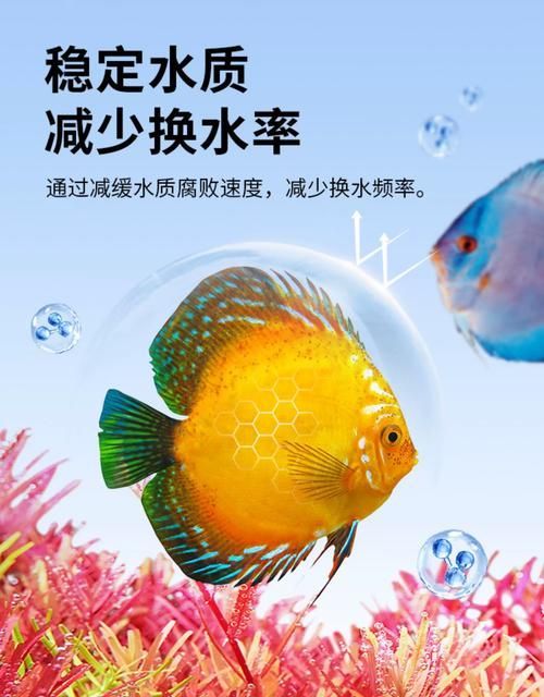 有哪些品牌的魚缸益生菌推薦？，選擇魚缸益生菌產品