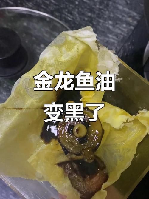 詳細閱讀:吃了過期的金龍魚會有什么后果?,吃了過期的金龍魚會有什么后果, 吃了過期的金龍魚會有什么后果?,吃了過期的金龍魚會有什么后果,
