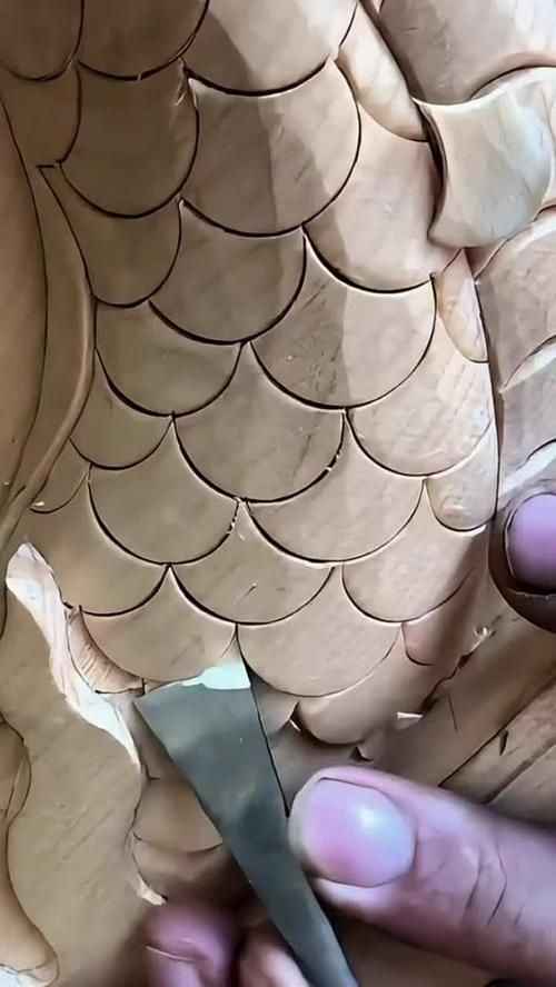 如何鑒別海港龍魚的品質，如何判斷海港龍魚的品質？