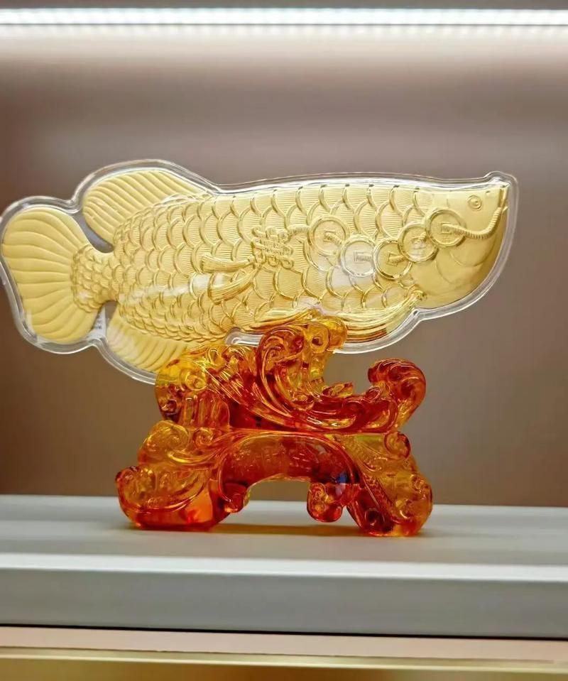 生財金龍魚圖片大全，生財金龍魚圖片