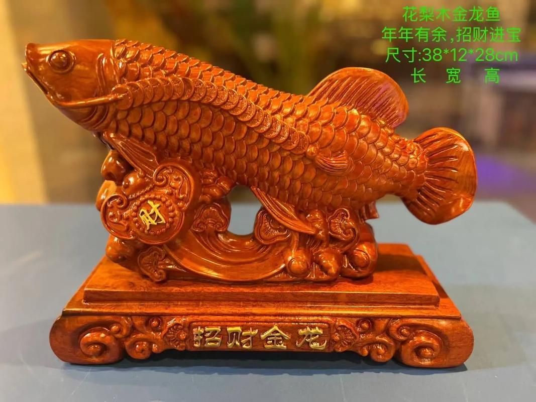 生財金龍魚圖片大全，生財金龍魚圖片