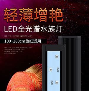 龍魚增色后會變得更鮮艷嗎？，龍魚增色后是否會變得更鮮艷，龍魚增色后會變得更鮮艷嗎 龍魚增色后會變得更鮮艷嗎？，龍魚增色后是否會變得更鮮艷，龍魚增色后會變得更鮮艷嗎 龍魚百科 第3張