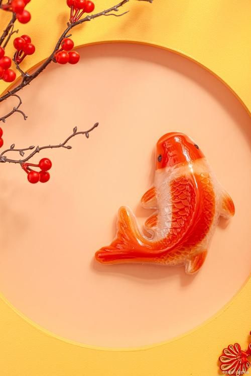 風水魚圖片,風水魚擺放有哪些禁忌? 龍魚百科 第14張 風水魚圖片,風水魚擺放有哪些禁忌? 風水魚圖片,風水魚擺放有哪些禁忌? 龍魚百科 第14張