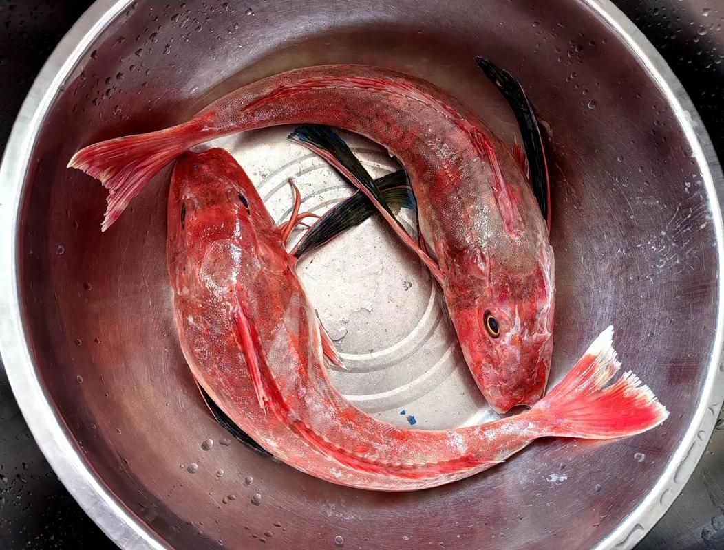 如何判斷紅頭魚是否新鮮
