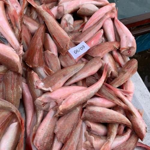 如何判斷紅頭魚是否新鮮