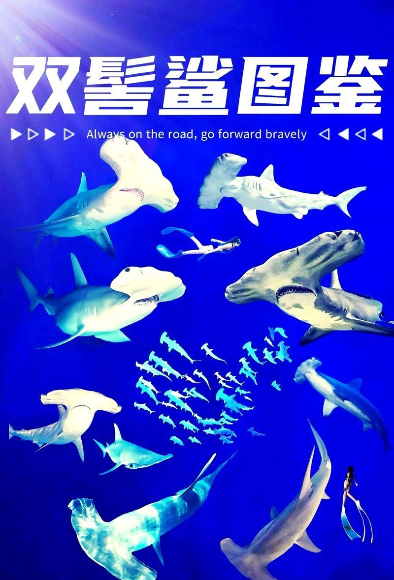 鯊魚如何利用電感受器導航，奇特生物電感受器d-wave舞者-sunny曦 鯊魚如何利用電感受器導航，奇特生物電感受器d-wave舞者-sunny曦 龍魚百科 第2張