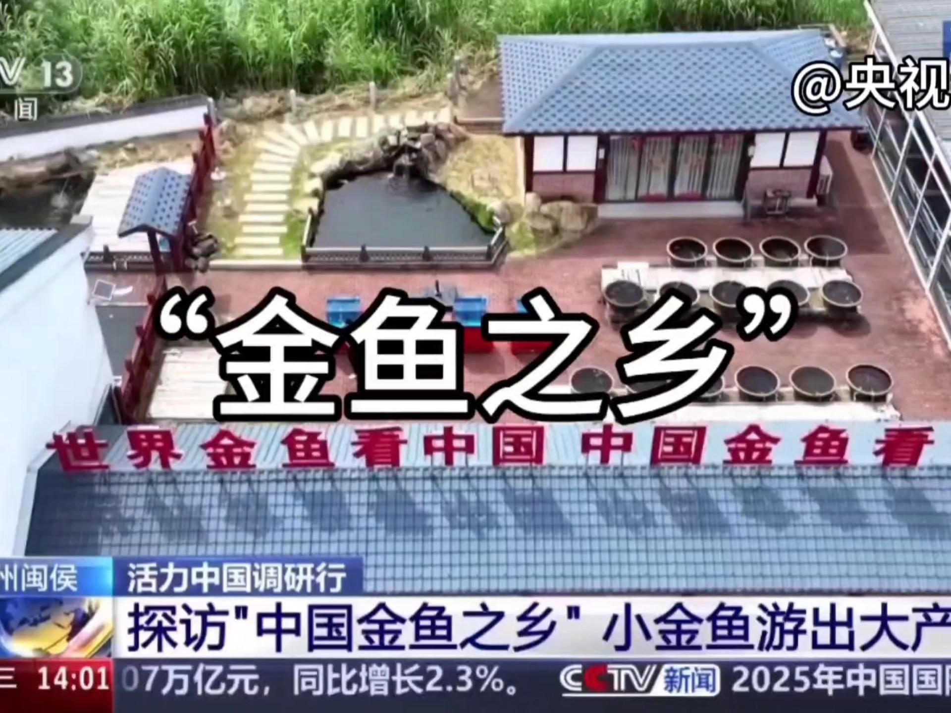 閩侯龍魚養殖有哪些成功案例，央視《新聞直播間》:閩侯縣龍魚養殖技術創新和品牌建設