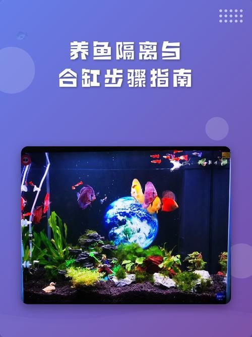 如何預防虎魚感染