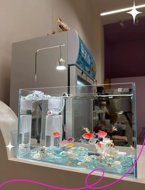 如何預防虎魚感染