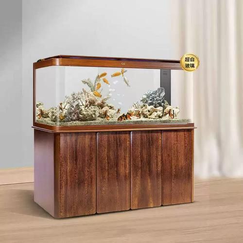 知乎上哪些龍魚缸品牌評價最好？，知乎上哪些龍魚缸品牌評價最好伊罕魚缸品牌對比表格 知乎上哪些龍魚缸品牌評價最好？，知乎上哪些龍魚缸品牌評價最好伊罕魚缸品牌對比表格 龍魚百科 第12張