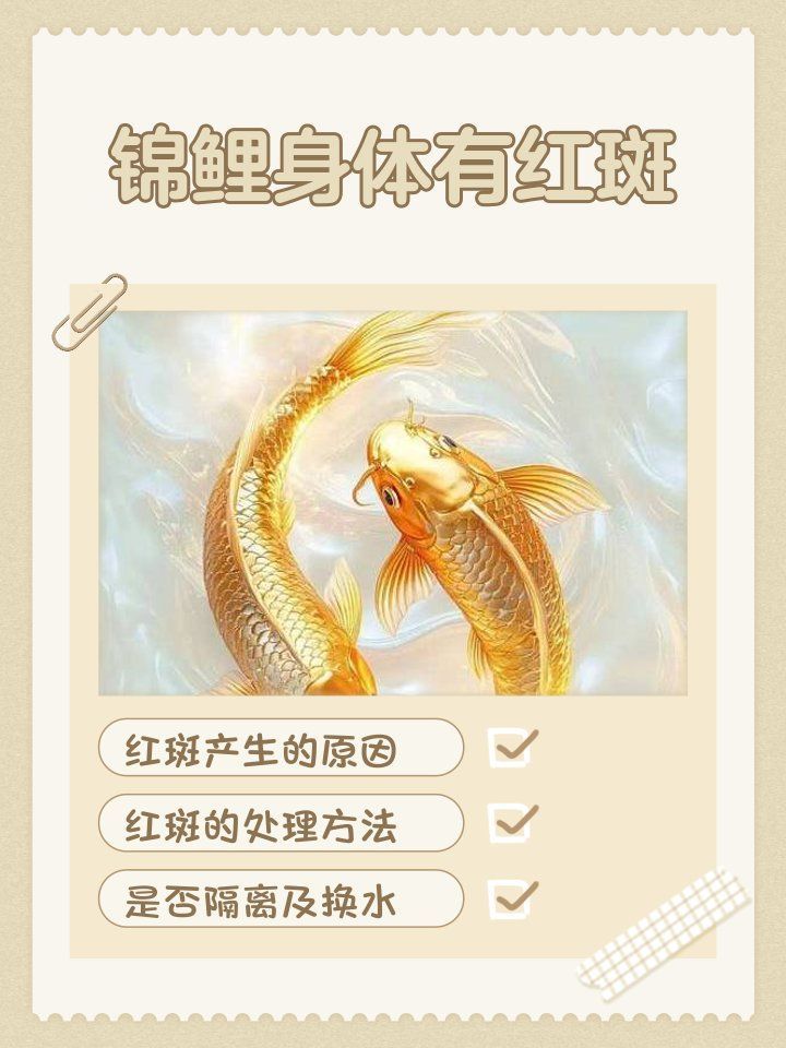 錦鯉紅斑病有哪些治療方法，錦鯉紅斑病的治療方法