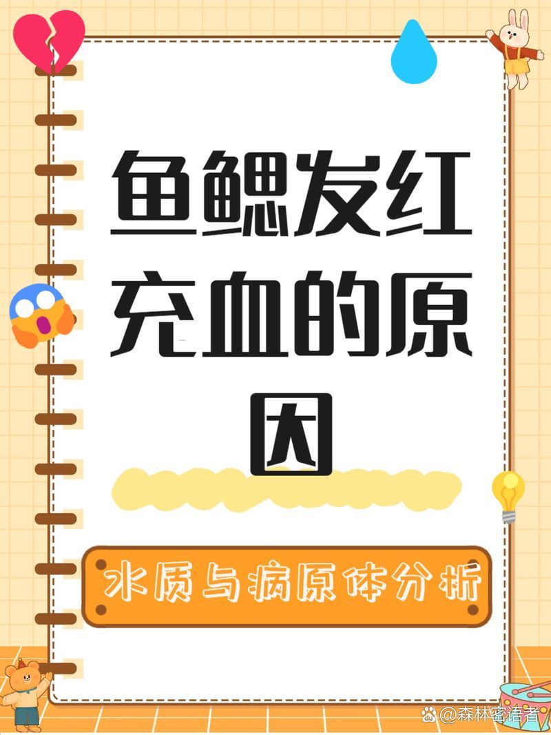魚鰓充血有哪些治療方法，魚鰓充血有哪些治療方法如何預防魚鰓充血復發