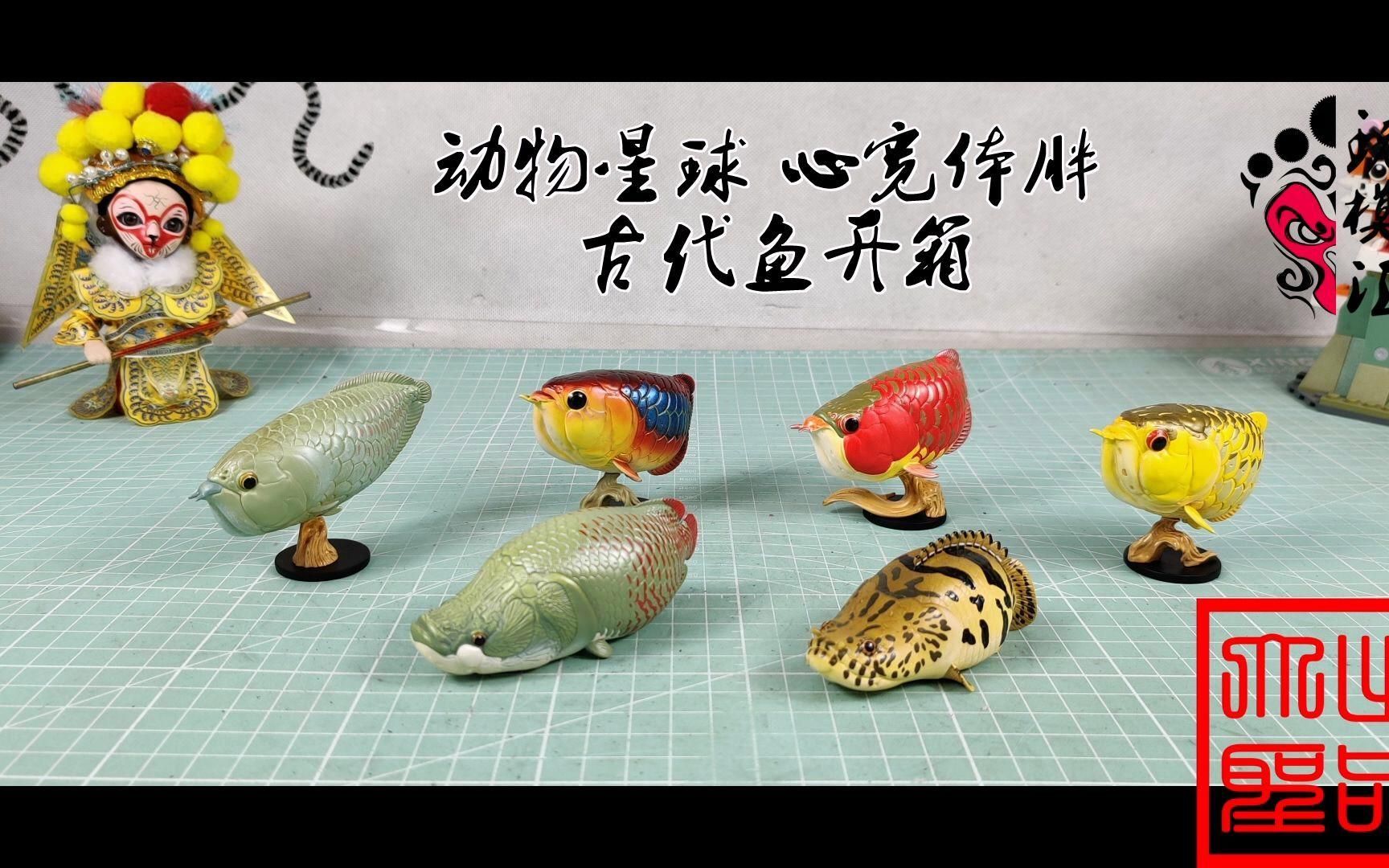 10元一條的龍魚是模型嗎？，10元一條的龍魚屬于模型嗎？