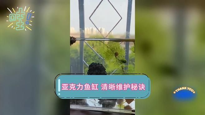 詳細閱讀:如何保養(yǎng)和清潔亞克力魚缸,亞克力魚缸保養(yǎng)和清潔亞克力魚缸的保養(yǎng)和清潔方法 如何保養(yǎng)和清潔亞克力魚缸,亞克力魚缸保養(yǎng)和清潔亞克力魚缸的保養(yǎng)和清潔方法