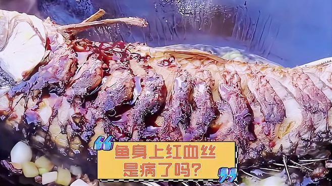 如何預防魚身出現紅血絲，如何預防魚身出現紅血絲,魚身上紅血絲,是病了嗎