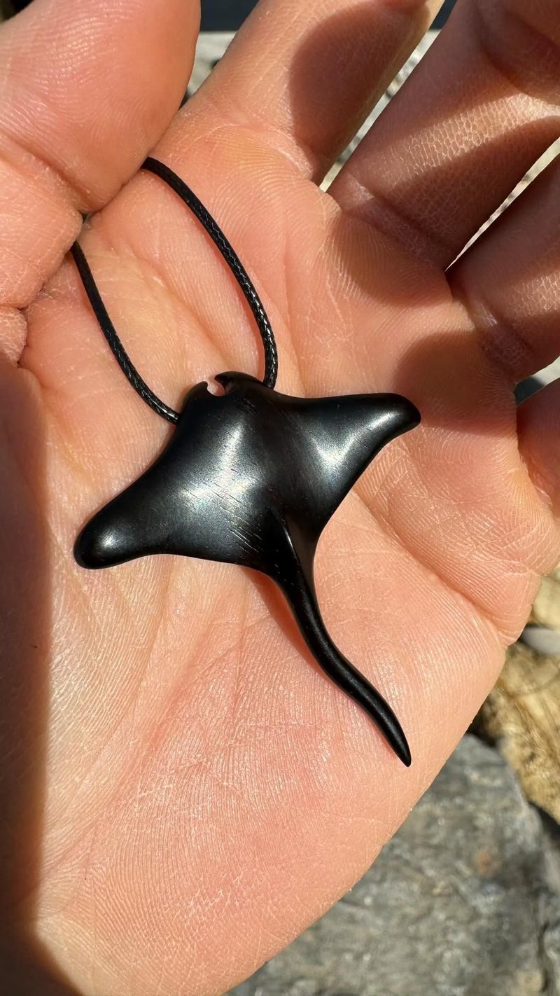 如何區分不同品種的福魟？，如何區分不同品種的福魟（蝠鲼） 如何區分不同品種的福魟？，如何區分不同品種的福魟（蝠鲼） 龍魚百科 第6張