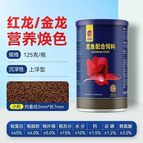 如何降低龍魚的飼養成本，如何降低龍魚的飼養成本，降低龍魚飼養成本飼養成本