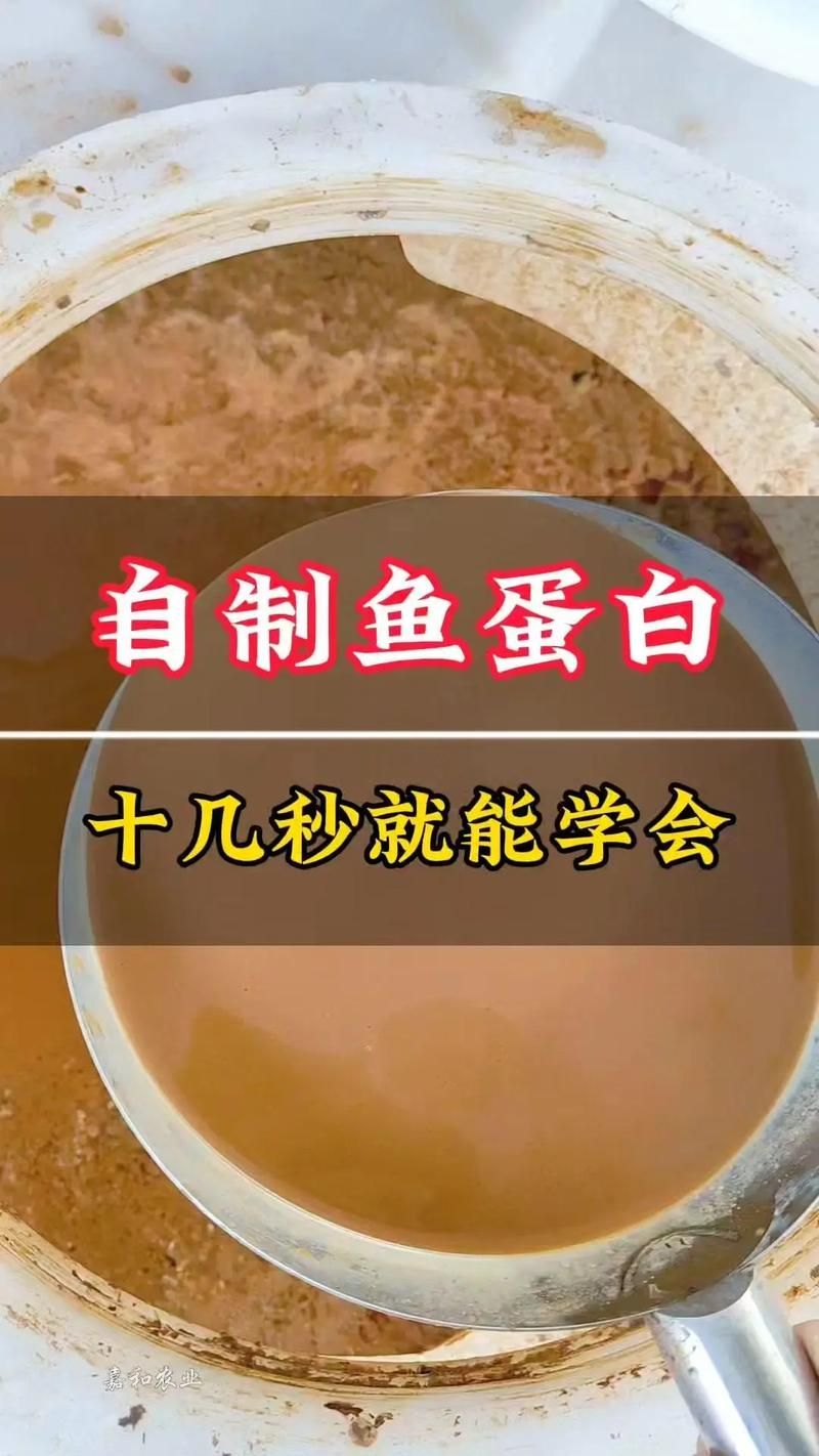 如何降低龍魚(yú)的飼養(yǎng)成本，如何降低龍魚(yú)的飼養(yǎng)成本，降低龍魚(yú)飼養(yǎng)成本飼養(yǎng)成本