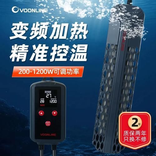 如何降低龍魚的飼養成本，如何降低龍魚的飼養成本，降低龍魚飼養成本飼養成本