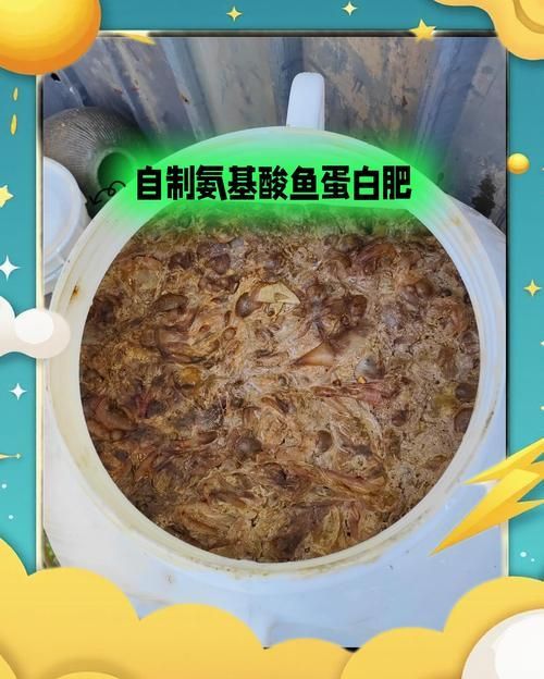 如何降低龍魚(yú)的飼養(yǎng)成本，如何降低龍魚(yú)的飼養(yǎng)成本，降低龍魚(yú)飼養(yǎng)成本飼養(yǎng)成本