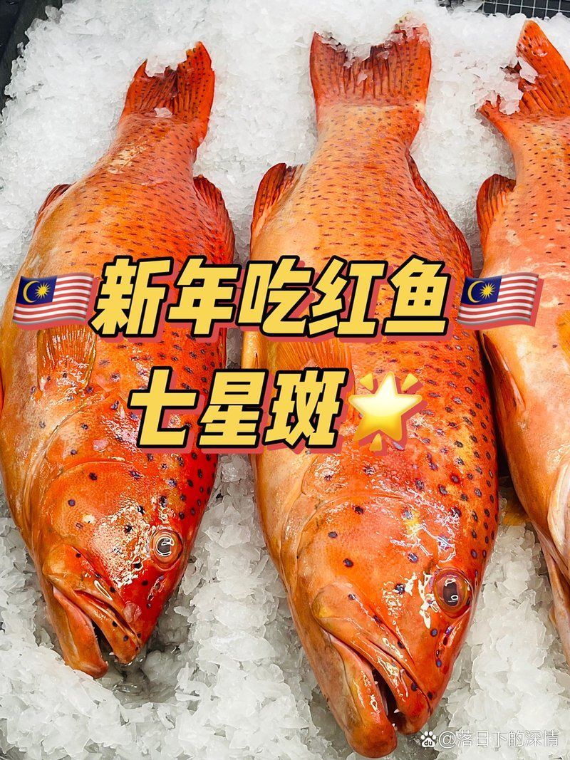 七條魚中紅色魚的意義是什么