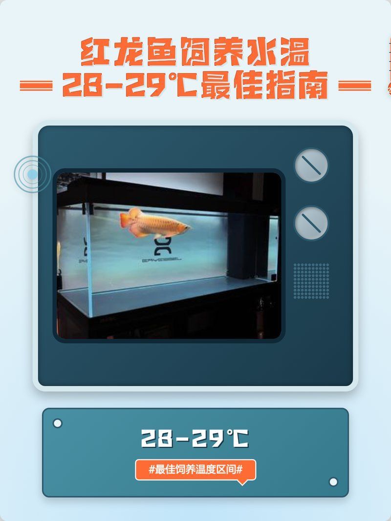 50厘米紅龍魚需要多大的加熱棒，50厘米的紅龍魚需要多大的加熱棒