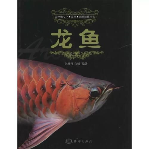 《城中龍魚》有哪些閱讀平臺？，《城中龍魚》閱讀平臺不調用戶要求1000字詳解+配圖