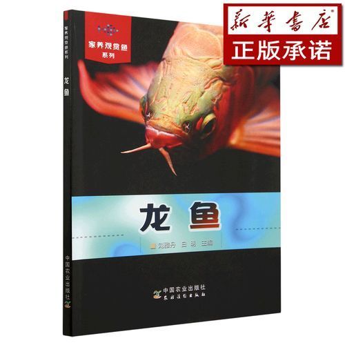《城中龍魚》有哪些閱讀平臺？，《城中龍魚》閱讀平臺不調用戶要求1000字詳解+配圖
