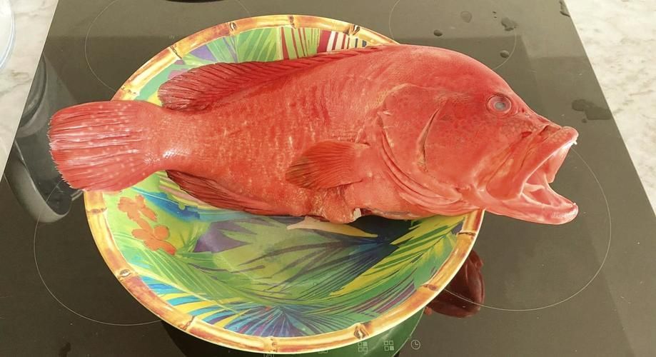 清蒸紅色魚有哪些技巧，清蒸紅色魚的技巧