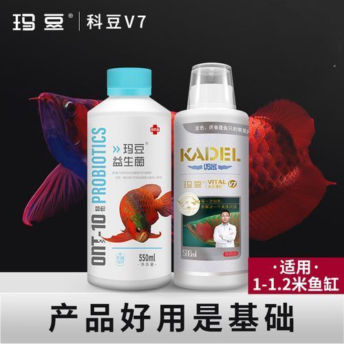 有哪些魚藥可以提升龍魚活力？
