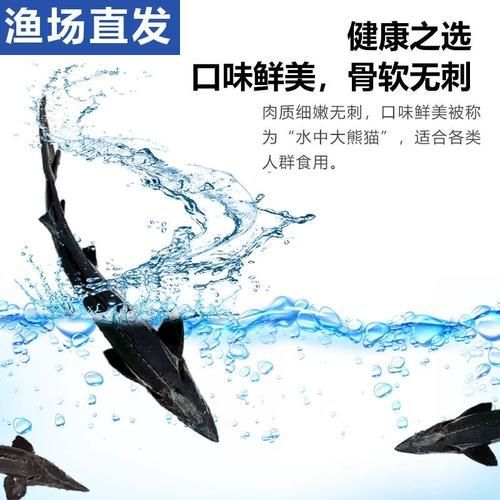 詳細閱讀:鱘龍魚的價格是多少?,鱘龍魚價格是多少鱘龍魚的價格是多少鱘龍魚的價格是多少 鱘龍魚的價格是多少?,鱘龍魚價格是多少鱘龍魚的價格是多少鱘龍魚的價格是多少