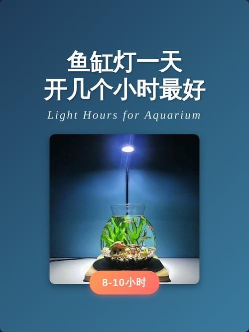 詳細閱讀:魚缸LED燈可以連續(xù)開多久 魚缸LED燈可以連續(xù)開多久
