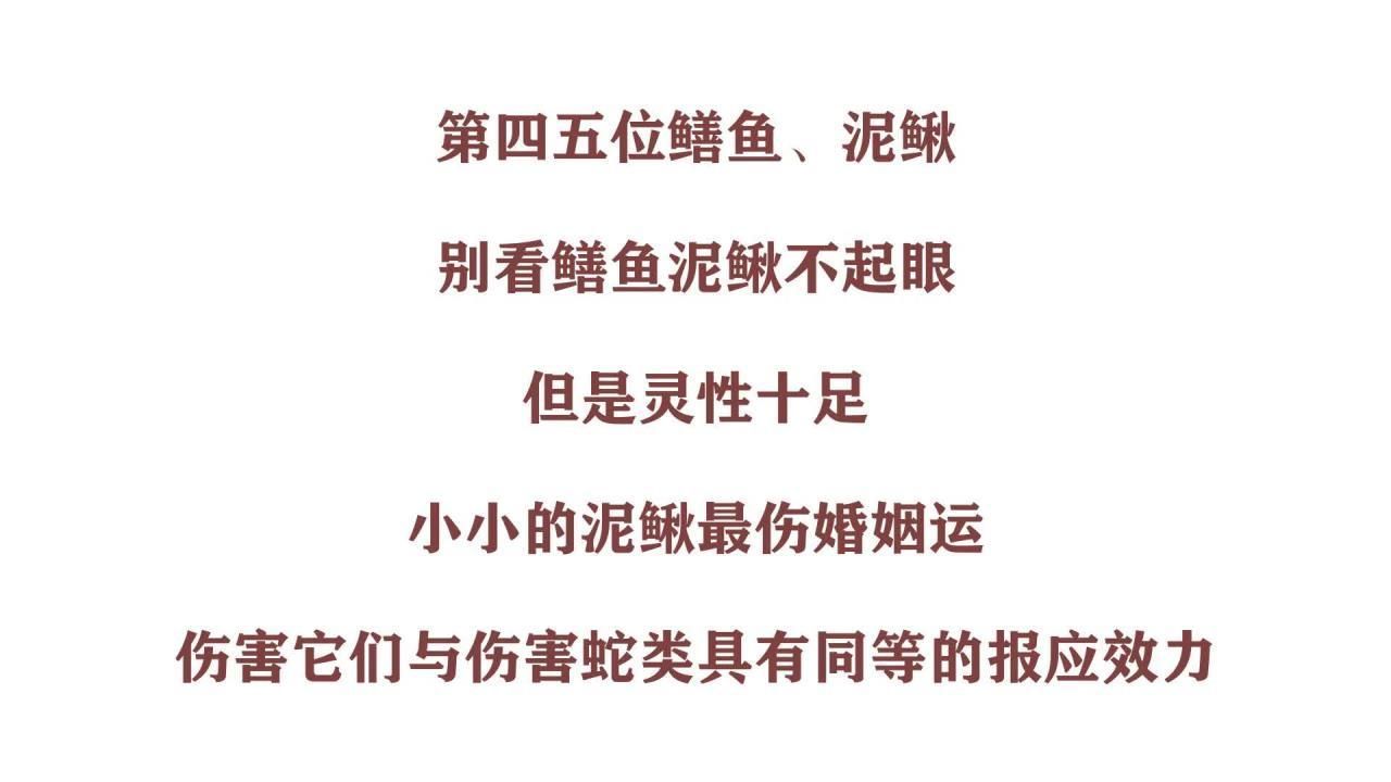 有哪些魚被認為有靈性 有哪些魚被認為有靈性 龍魚百科 第2張