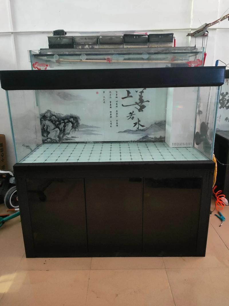 白底黑背景缸有哪些優缺點，白底黑背景缸布景指南