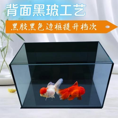白底黑背景缸有哪些優缺點，白底黑背景缸布景指南 白底黑背景缸有哪些優缺點，白底黑背景缸布景指南 龍魚百科 第4張