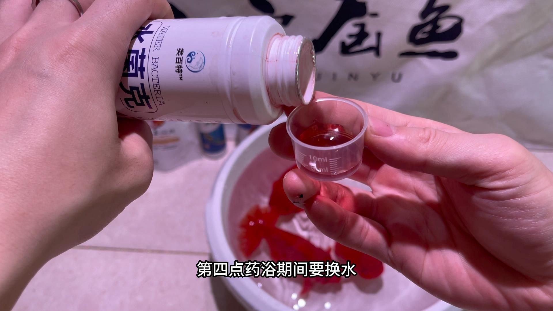 治療龍魚細(xì)菌感染用什么藥，治療龍魚細(xì)菌感染治療龍魚細(xì)菌感染治療前后對(duì)比圖 治療龍魚細(xì)菌感染用什么藥，治療龍魚細(xì)菌感染治療龍魚細(xì)菌感染治療前后對(duì)比圖 龍魚百科 第6張