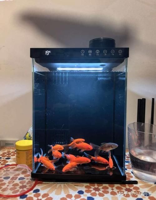 推薦幾款適合家庭的魚缸，幾款適合家庭使用的魚缸推薦，適合家庭使用的魚缸推薦