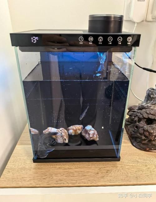 推薦幾款適合家庭的魚缸，幾款適合家庭使用的魚缸推薦，適合家庭使用的魚缸推薦