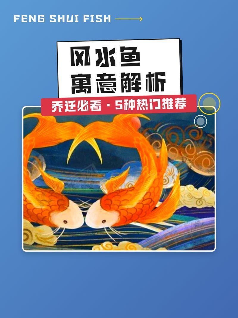 風(fēng)水魚(yú)都有哪些品種，喬遷必看|5種熱門(mén)風(fēng)水魚(yú)寓意解析