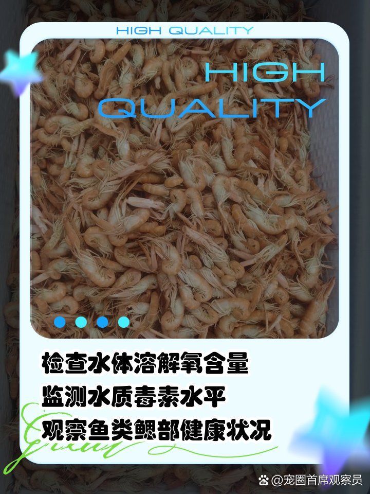 龍魚(yú)浮頭后會(huì)如何，紅龍魚(yú)浮頭張嘴可能是這些原因分析及應(yīng)對(duì)措施及應(yīng)對(duì)措施