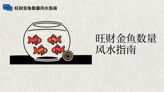 詳解金魚的風水寓意，養金魚有哪些風水禁忌