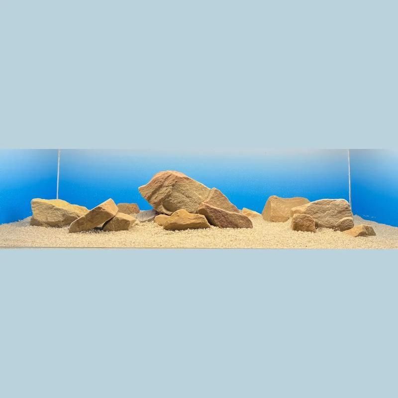 如何設(shè)置三湖慈鯛的魚缸，三湖慈鯛魚缸設(shè)置