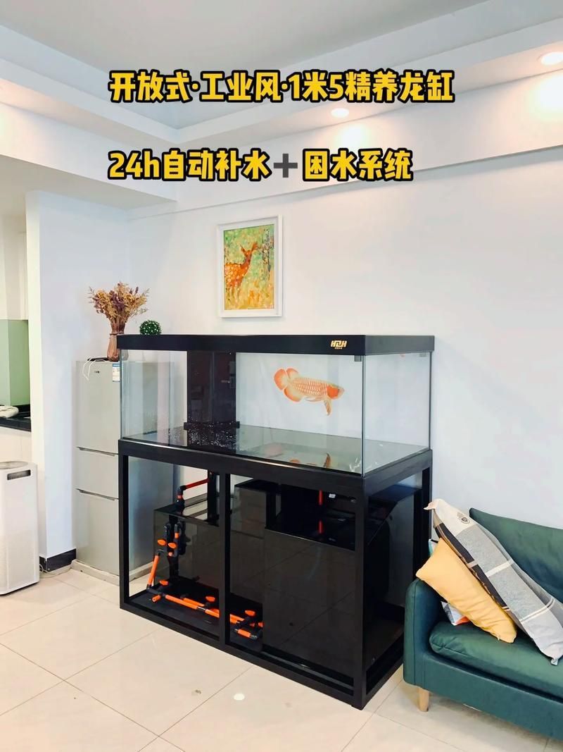 廣東水鴨魚缸的價格范圍，廣東水鴨魚缸價格
