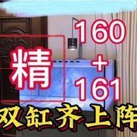 廣東水鴨魚缸的價格范圍，廣東水鴨魚缸價格